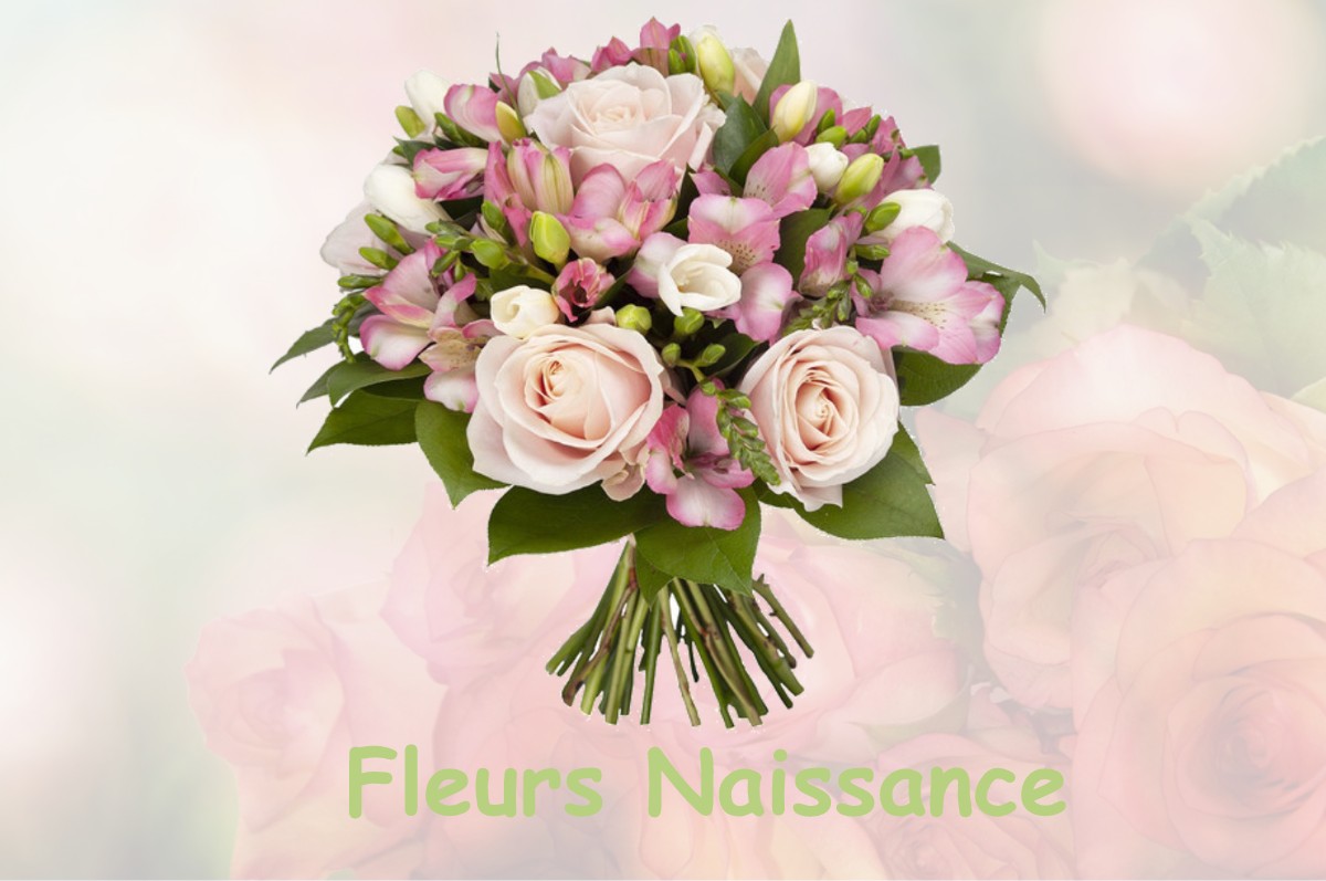 fleurs naissance VERNEUIL-PETIT