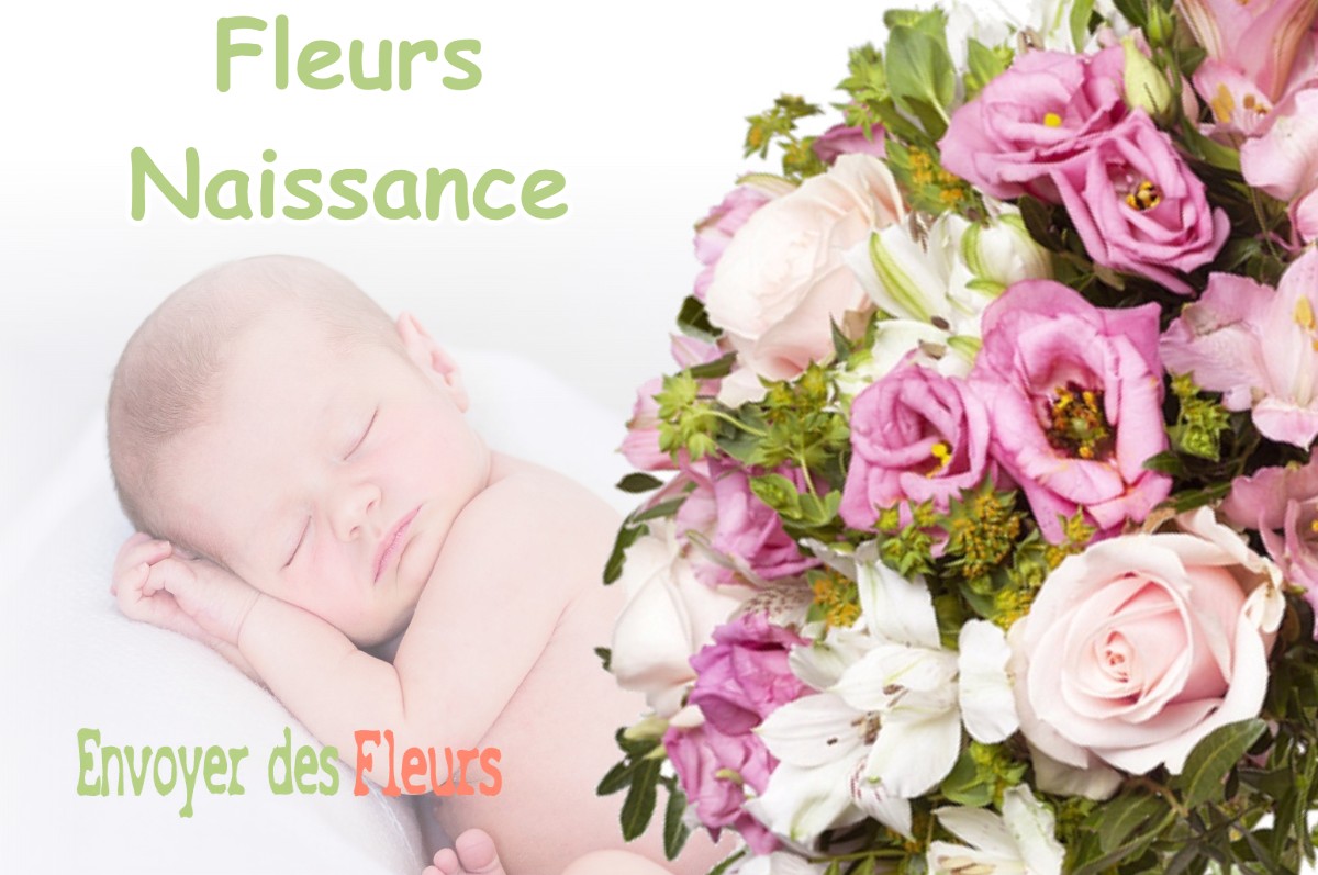 lIVRAISON FLEURS NAISSANCE à VERNEUIL-PETIT