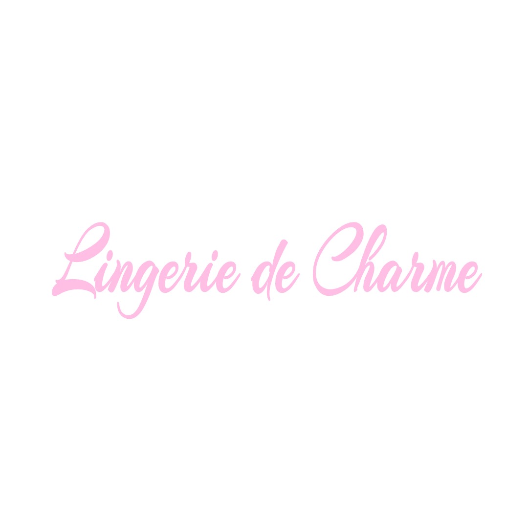 LINGERIE DE CHARME VERNEUIL-PETIT